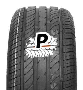 PAXARO ECO DYNAMIC 205/55 R16 94W XL