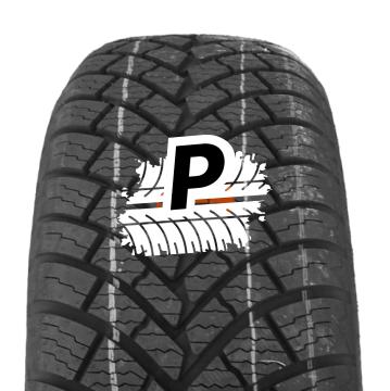 DOUBLE COIN DASP PLUS 205/55 R17 95V XL M+S