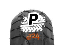 PIRELLI NIGHT DRAGON GT 180/60 R16 80H TL