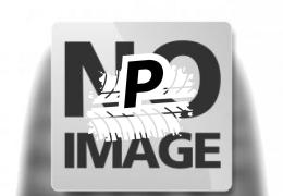 SUN-F A-050 25x8.00 -12 65J 6PR TL 65J SUN-F A-050 25x8.00 -12 65J 6PR TL 65J